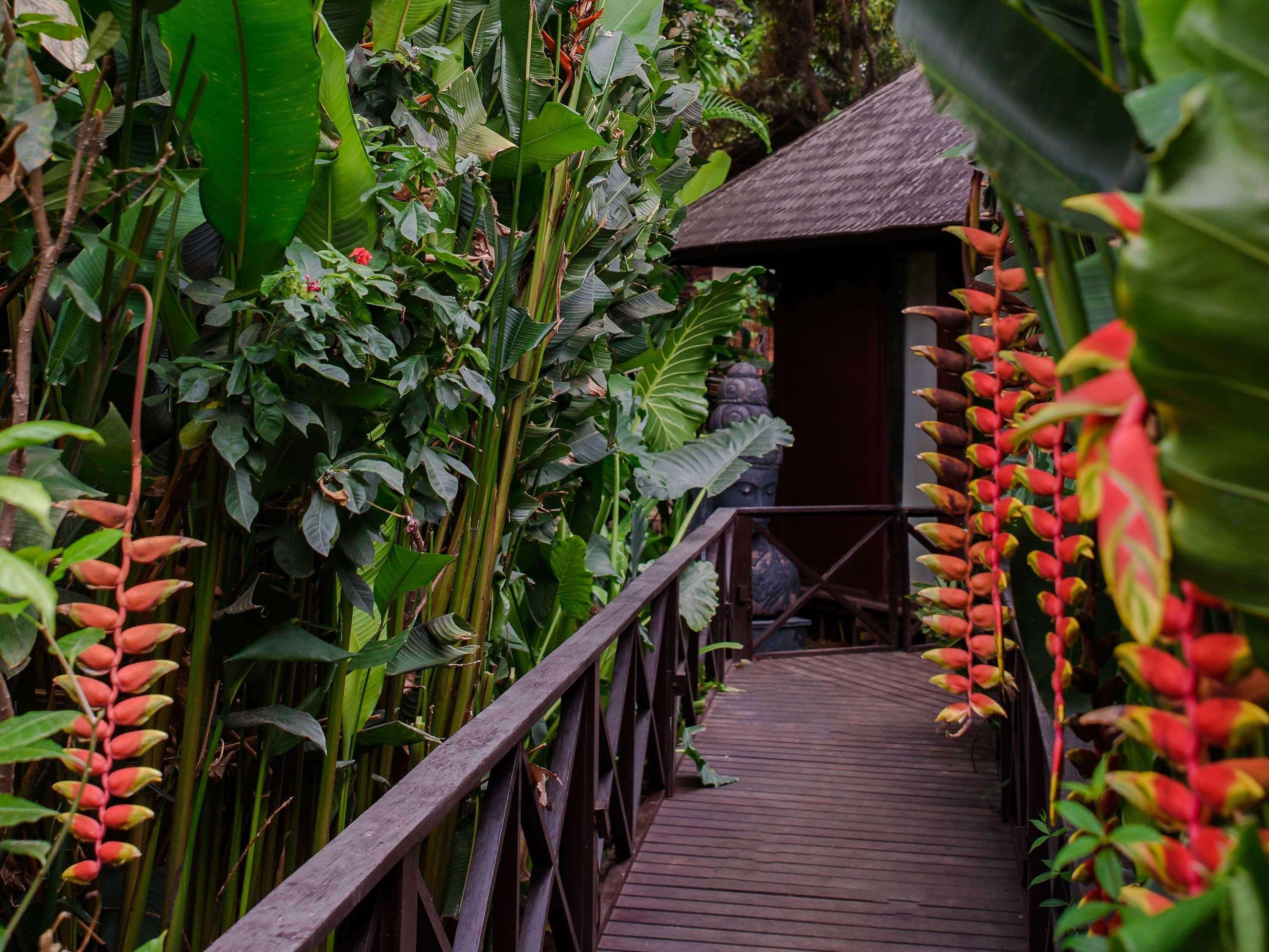Novotel Goa Resort & Spa Candolim Exterior photo The Jungle Spa